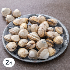 백미리 어민이 직접 잡은 서해안 갯벌 동죽조개, 800g, 2개
