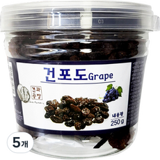 로얄푸드 건포도 용기, 250g, 5개