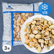 더더착한 자숙 홍합살 (냉동), 500g, 3개