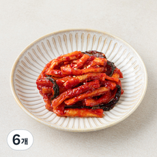 오늘의밥상 양념무말랭이, 350g, 6개