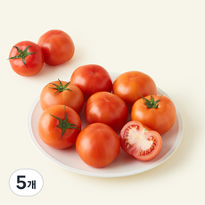완숙토마토 1번과, 5개, 5kg(16~21개입)