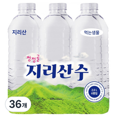청정골지리산수 무라벨, 36개, 2L