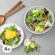 레드 채소믹스, 700g, 4개