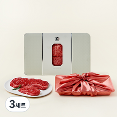 대정한우 1++등급 등심모둠 선물세트 1kg 등심 200g/살치살 50g 2팩 + 채끝등심 200g/새우살 50g 2팩 (냉장), 3세트