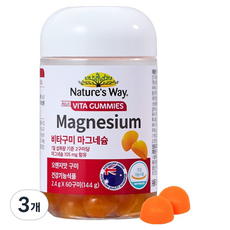 네이처스웨이 비타구미 마그네슘 오렌지맛, 60정, 3개