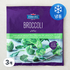 엠보그 브로콜리 (냉동), 3개, 450g