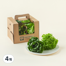 팜에이트 무농약 인증 Greenery+ 클래식 유러피안 샐러드믹스, 380g, 4개입, 4개