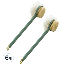 알로데 보송 바디 브러쉬 양면, TYPE02 그린, 6개