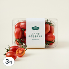 프리미엄 대추방울 토마토, 400g, 3개