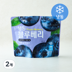 호재준 칠레산 블루베리 (냉동), 2개, 150g