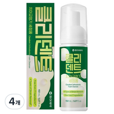 클리덴트 치아교정기 세정폼, 150ml, 1개, 4개