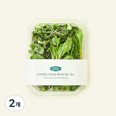 프리미엄 스마트팜 베이비 채소 믹스, 50g, 1개입, 2개