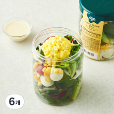 스윗밸런스 스파이시 에그마요, 250g, 6개