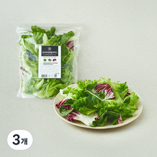 저스트그린 유러피안 루꼴라 믹스, 200g, 3개