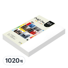 paperculture Print Pro 彩色影印紙 No 30 雪白色 80g, B5, 1020個