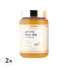 들과 바람 머금은 꽃꿀, 580g, 2개