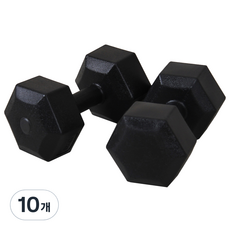 이고진 블랙육각 덤벨 아령, 2kg, 10개