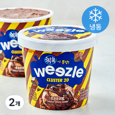 롯데웰푸드 위즐 초코초코밤 아이스크림 (냉동), 2개, 1개입, 660ml