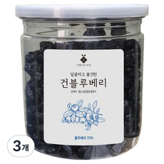 아름다운정성 말린 건조 건블루베리, 3개, 260g