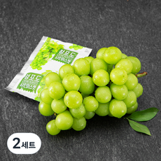 올바른과일 김천 샤인머스켓 600g + NFC 착즙주스 110ml, 2세트