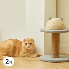 한발뚝딱 1단 하프볼 고양이 수직 스크래쳐, 혼합색상, 2개