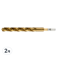 EX-POWER 六角高速鋼鑽頭 M 12.0 EHH-120, 2個