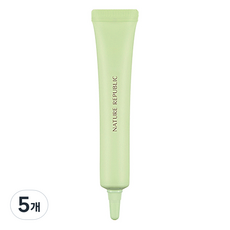 네이처리퍼블릭 보테니컬 그린티 포어 프라이머, 5개