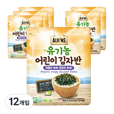ALVINS 愛彬思 兒童海苔酥, 海鮮口味, 21g, 12包