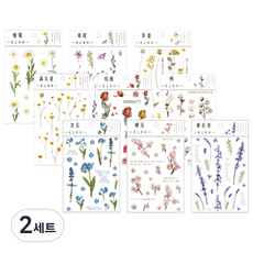 indi.k 野花與乾燥花透明貼紙 9款, 混合顏色, 2套