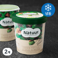 나뚜루 그린티 퍼지 아몬드 파인트, 474ml, 1개입, 2개