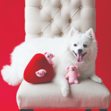 Zippypaws 尋找 Hearts and Bears 小狗鼻孔玩具, 混色, 1個
