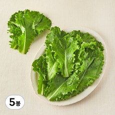국내산 친환경 청상추, 200g, 5봉