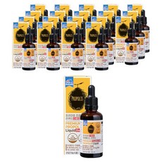 제너럴라이프 프리미엄 프로폴리스 리퀴드 더블업, 50ml, 20개