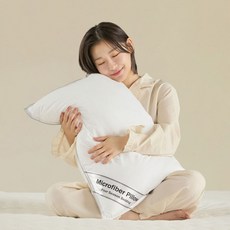 Marceline 抗敏基本枕芯, 2個, 白色