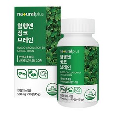내츄럴플러스 혈행엔 징코 브레인 45g, 90정, 2개