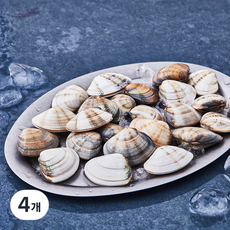 산지직송 바다림 생물 비단조개 (냉장), 500g, 4개