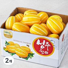 성주 당도선별 실속 미니참외, 5kg(20~30입), 2개