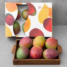 파머스기프트 애플망고 선물세트, 2.1kg(5~6입), 1세트