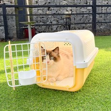 개과천선 반려동물 클라바 켄넬, 레몬, 1개