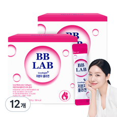 비비랩 저분자 콜라겐, 100g, 12개