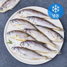 제주어멍 굴비 (냉동), 600g(10미), 1개