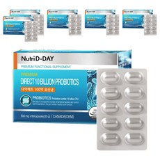 뉴트리디데이 다이렉트 100억 유산균 30g, 60정, 6개