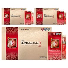 상아제약 6년근 고려 홍삼정 데일리타임 10p, 100ml, 9개