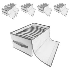 Reddot 紅點生活 加蓋防塵衣物分隔收納盒 升級款 12格, 6個, 透明白