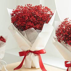 COCODOR 珂珂朵爾 永不凋謝鮮花 永生滿天星花束 大尺寸, 紅色