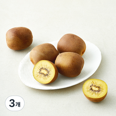 곰곰 GAP 인증 골드키위, 3개, 720g(대과)