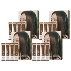 제이숲 리아비책 한방 물염색제 4p, 내추럴 브라운, 4개