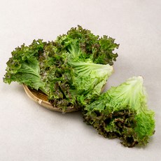 국내산 포기상추, 1kg, 1개