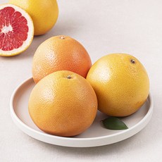 남아프리카공화국산 자몽, 1개, 1.5kg