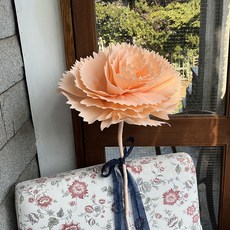 아스파시아 조화 특대형 자이언트 카네이션 꽃대 + 리본 + 상장카드 + 용돈봉투 세트, 소프트 피치, 1세트